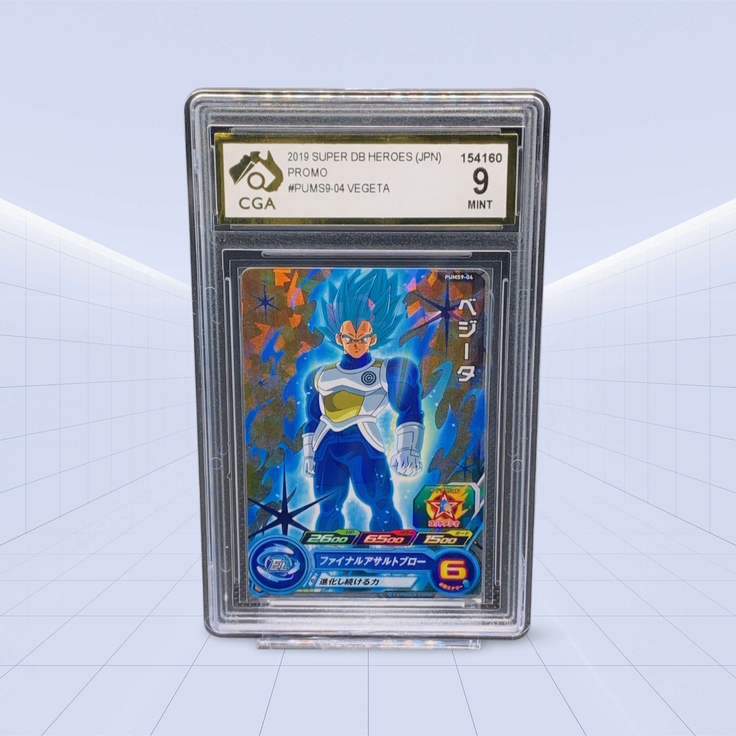 #VEGETA CGA MNT 9