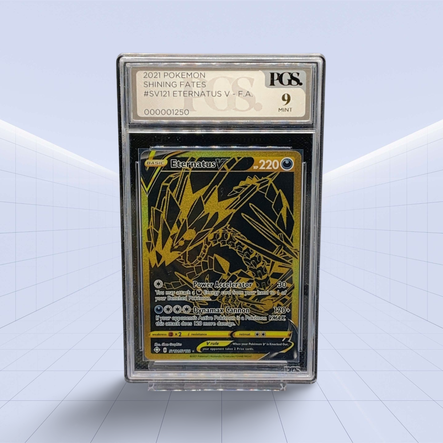 #SV12/SV22 ETERNATUS V PGS MT 9