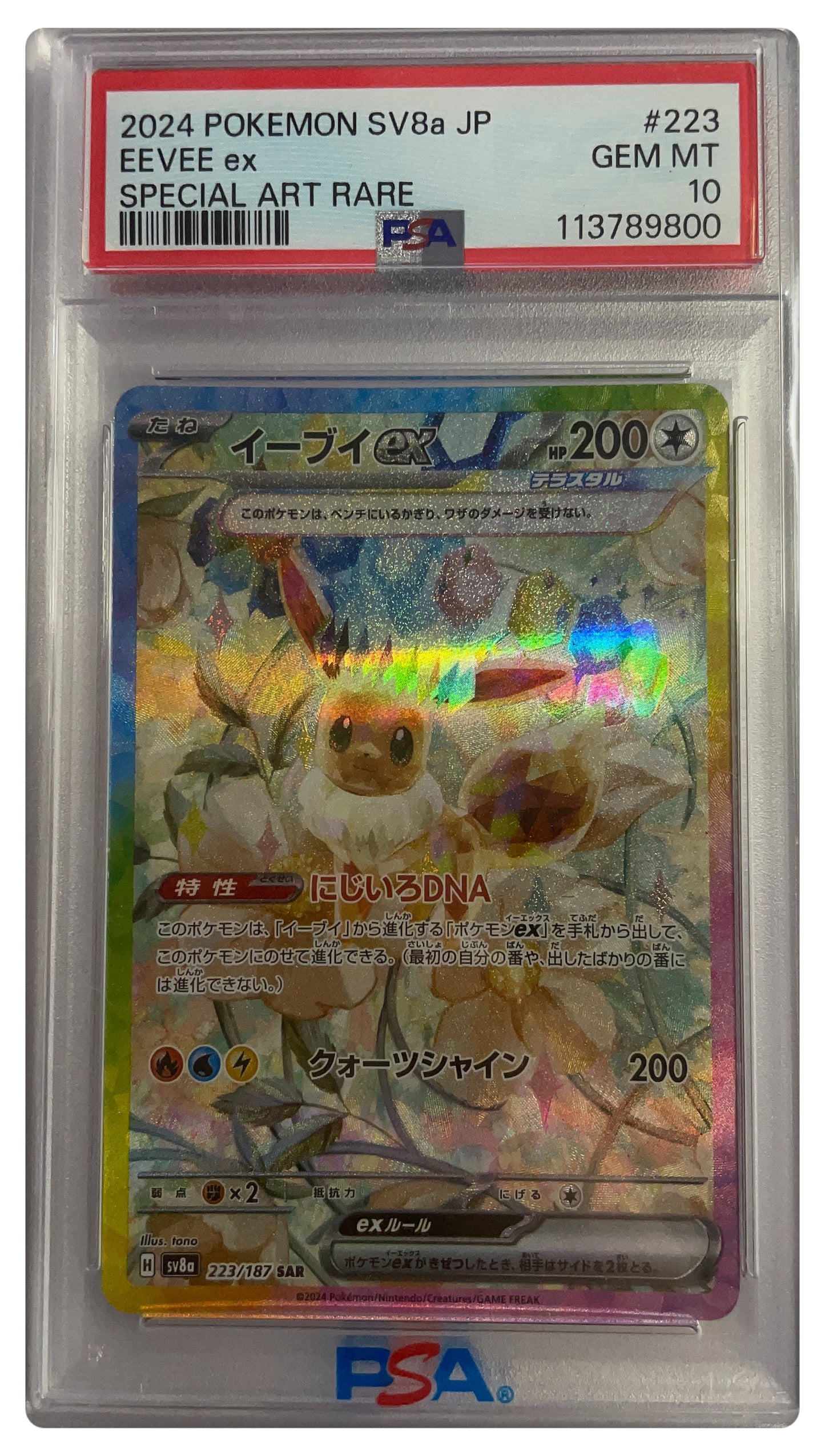 Eevee EX Special Art Rare SV8a JP #223 GM10